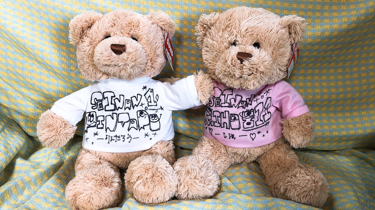 寄せ書き ぬいぐるみ GUND テディベア Tシャツ くま 寄書き 寄書 出産