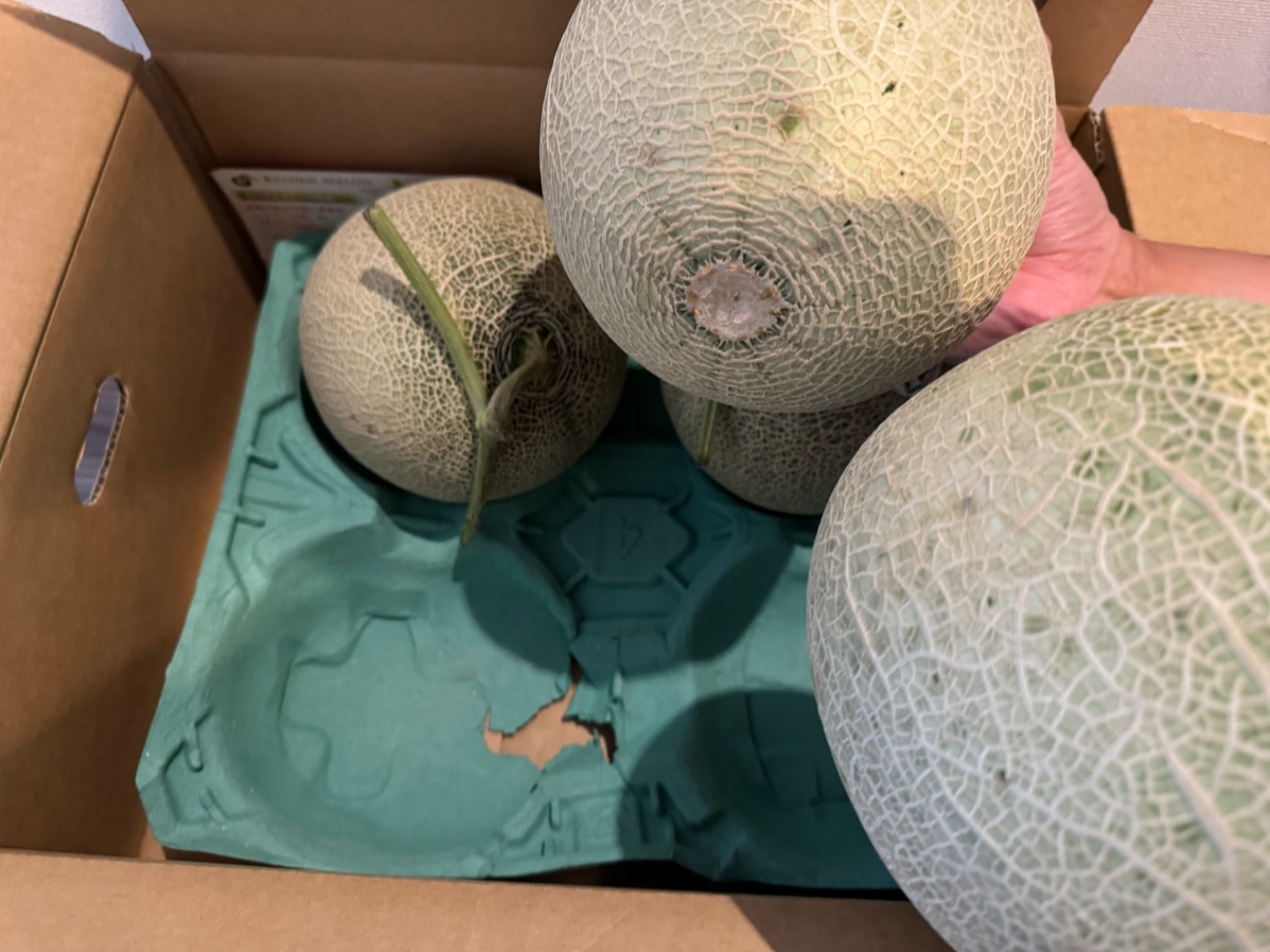 6178 メロン記念日 生写真 38枚セット 楽天市場】北辰フーズ 夕張メロン ひとくちゼリー 18個入（MM