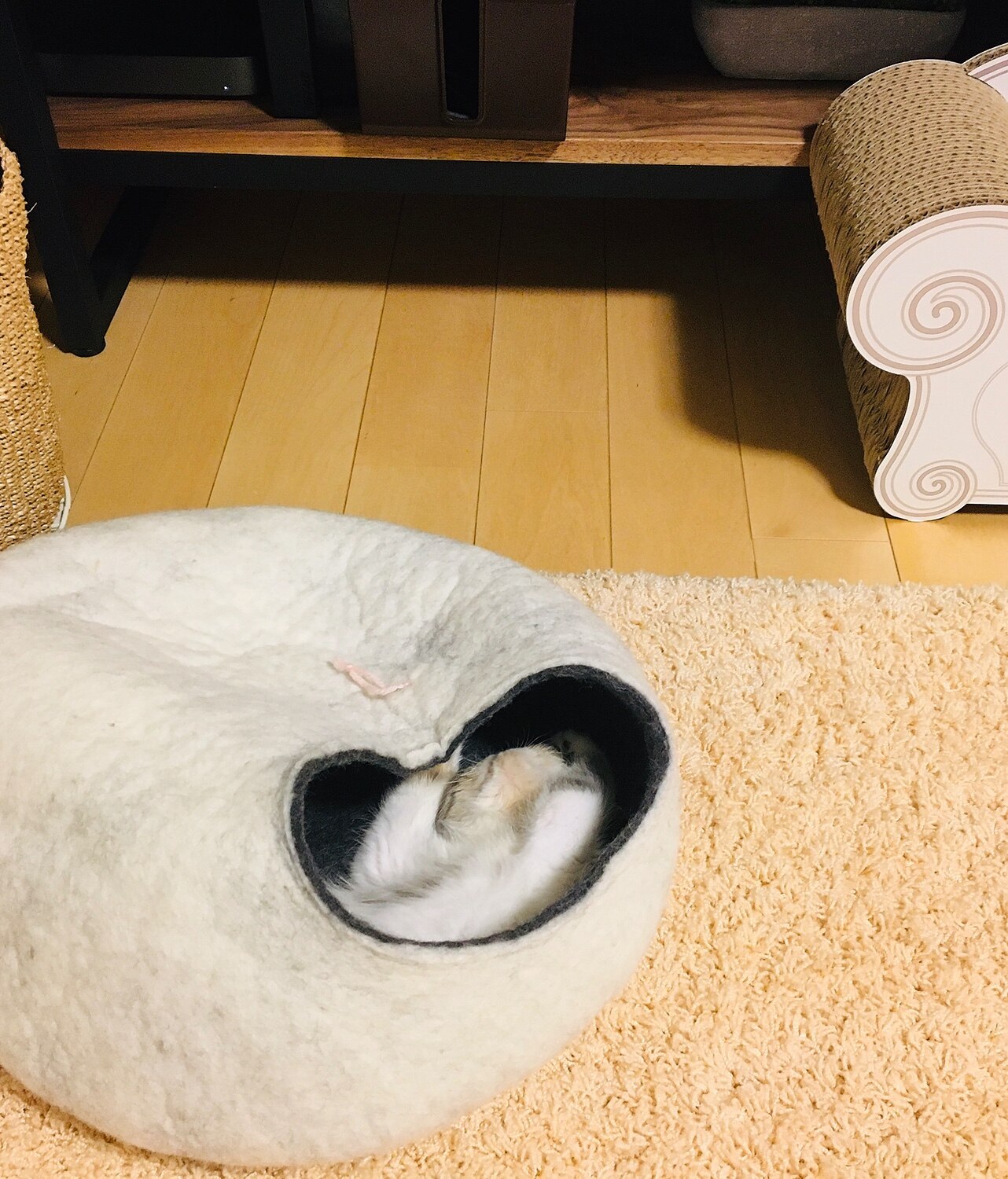 楽天市場 予約販売3月上旬入荷予定 Oft 正規品 キャットハウス Kivikis キビキス ペット ベッド ハウス 手作り おしゃれ おすすめ もこもこ 人気 フェルト ドーム 猫 ネコ ねこ Oft Store 楽天市場店 30代 女性 みんなのレビュー 口コミ