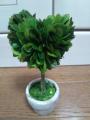 ֳоݾ/̾630ߤ490ߤ/BOX WOOD TOPIARY S /ܥååɥȥԥ꡼S/Heart/Ball/S/ῩƲ/Ǥо/ꥹޥ/ץ쥼/DULTON/ȥRCPۥꥹޥѡƥפξʥӥ塼ܺ٤򸫤