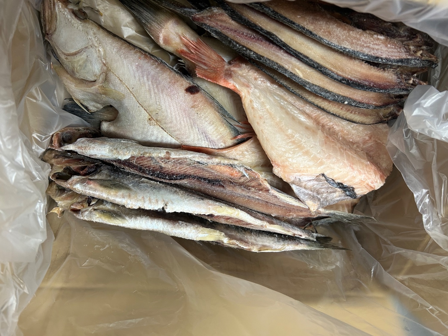 ふるさと納税 訳あり干物 沼津干物 レビュー画像9