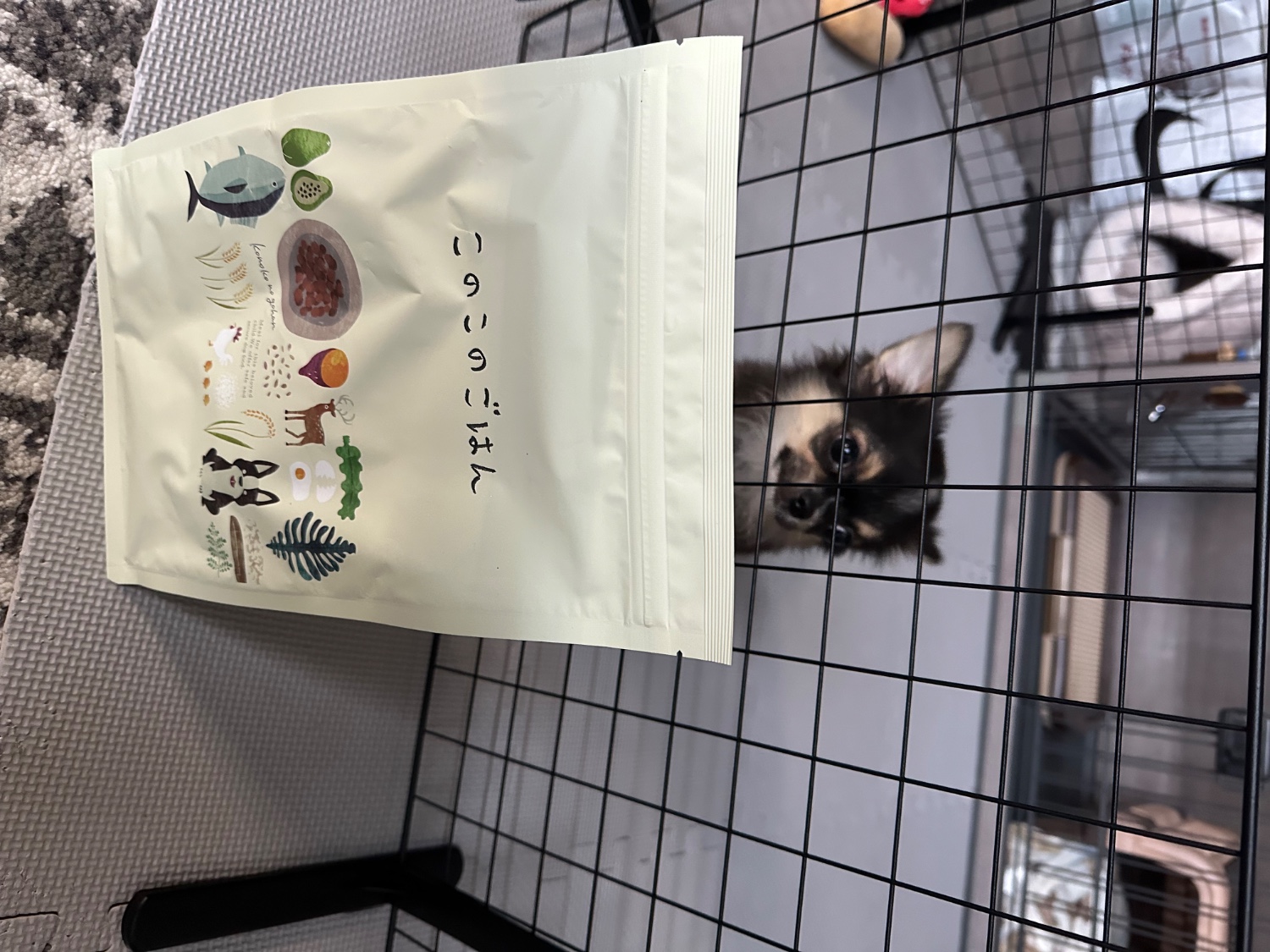 楽天市場】【 公式 】 このこのごはん ドッグフード 全犬種 全 楽天市場】【 公式 】 このこのごはん ドッグフード 全犬種 全