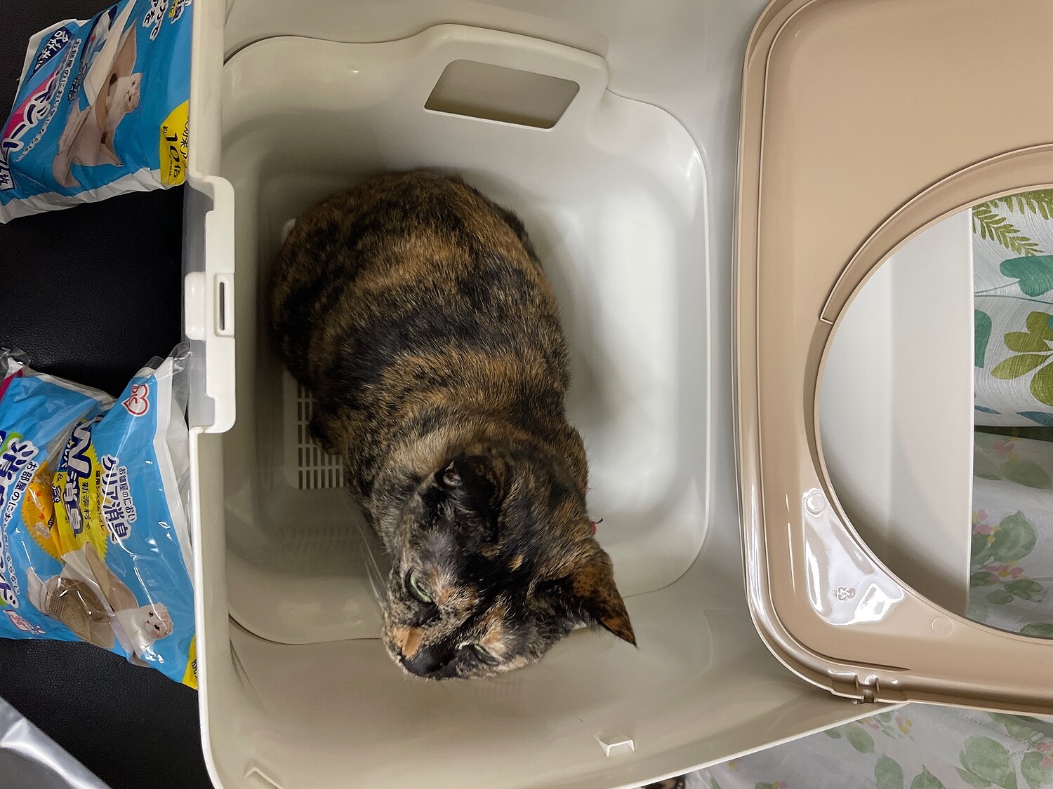 楽天市場 P5倍 22日12 59まで レビュー記入でプレゼント 猫 トイレ システムトイレ 本体 大型 カバー システムトイレ 猫砂 システムトイレ お部屋のにおいクリア消臭 上から入る猫トイレ フルカバー 専用砂 2l 専用シートセット Onc 430アイリスオーヤマ K