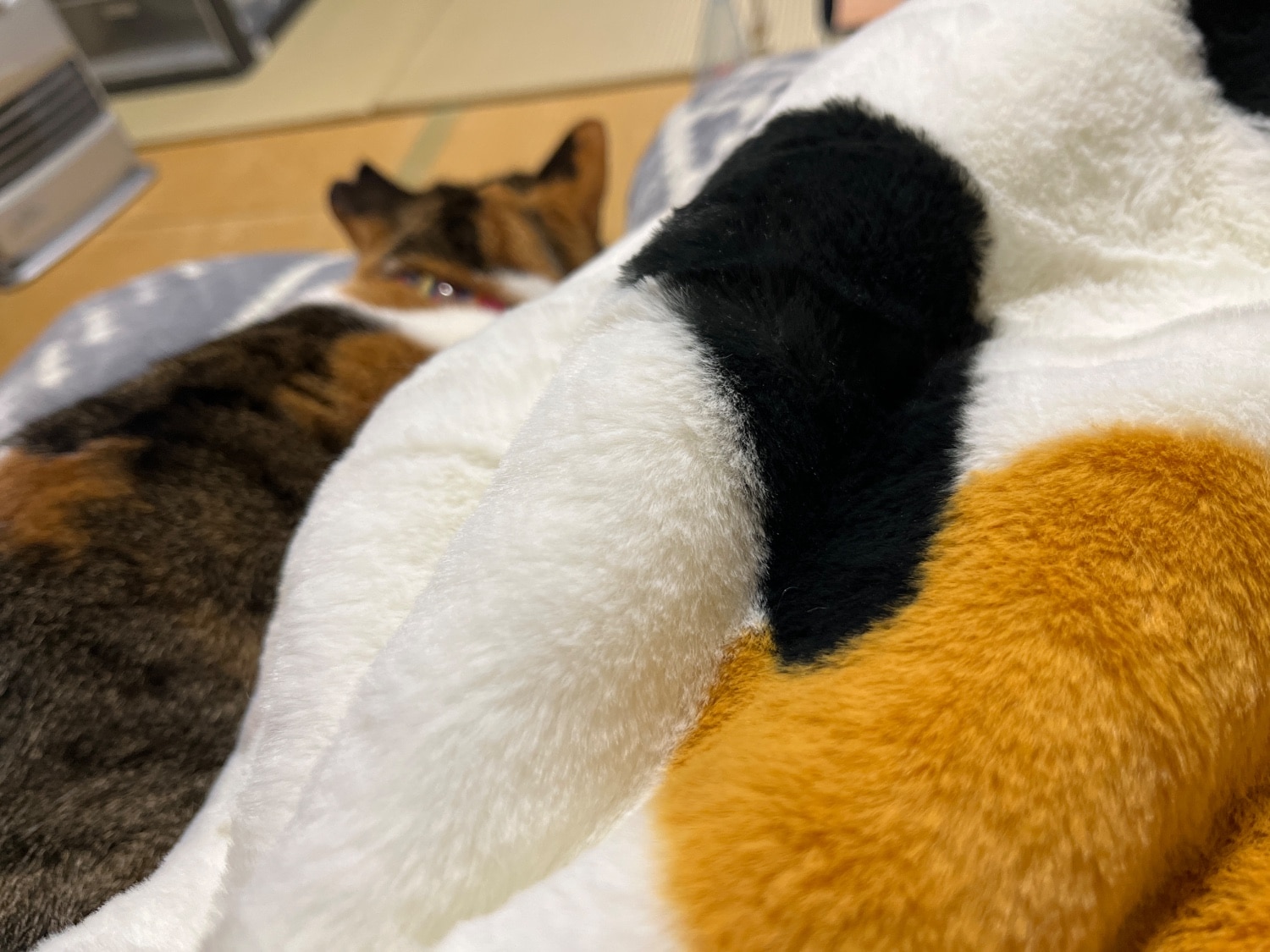 ≪TVで紹介≫ 猫フィール 猫Feel毛布 猫毛布口コミ レビュー画像10