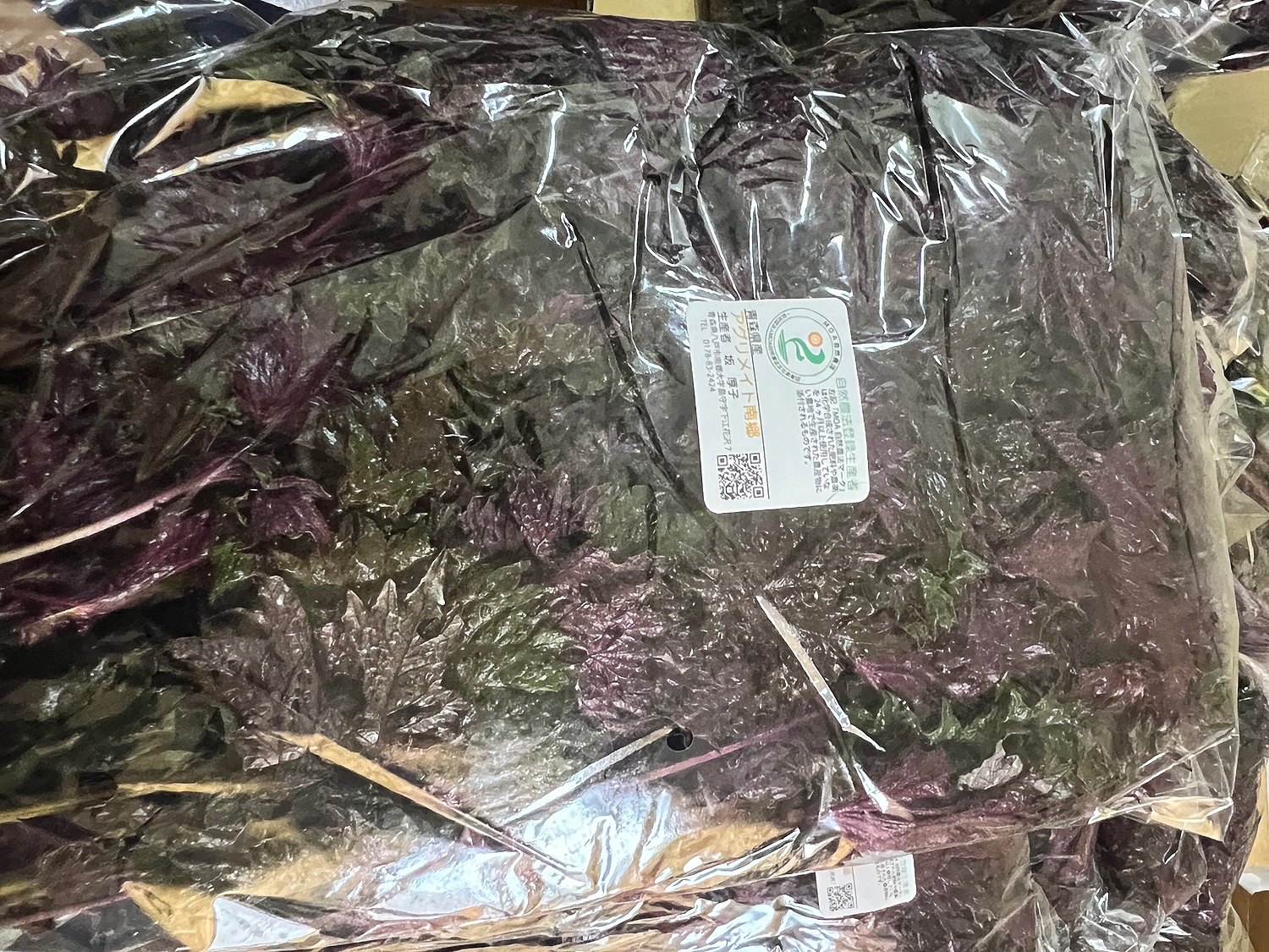 楽天市場】【予約・クール便】赤しそ 枝付き 約5.4kg 自然農法 楽天市場】【予約・クール便】赤しそ 枝付き 約5.4kg 自然農法