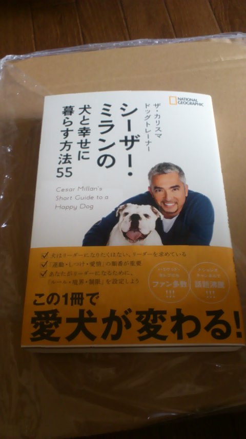 楽天市場 ザ カリスマ ドッグトレーナー シーザー ミランの犬と幸せに暮らす方法55 シーザー ミラン 楽天ブックス みんなのレビュー 口コミ