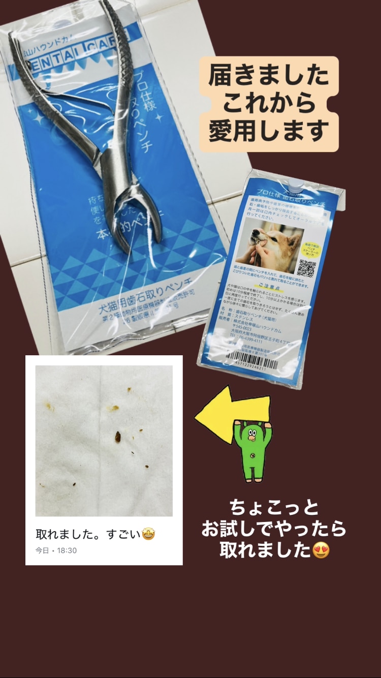 楽天市場】帝塚山ハウンドカム 歯石取りペンチ 犬用 猫用 ステンレス
