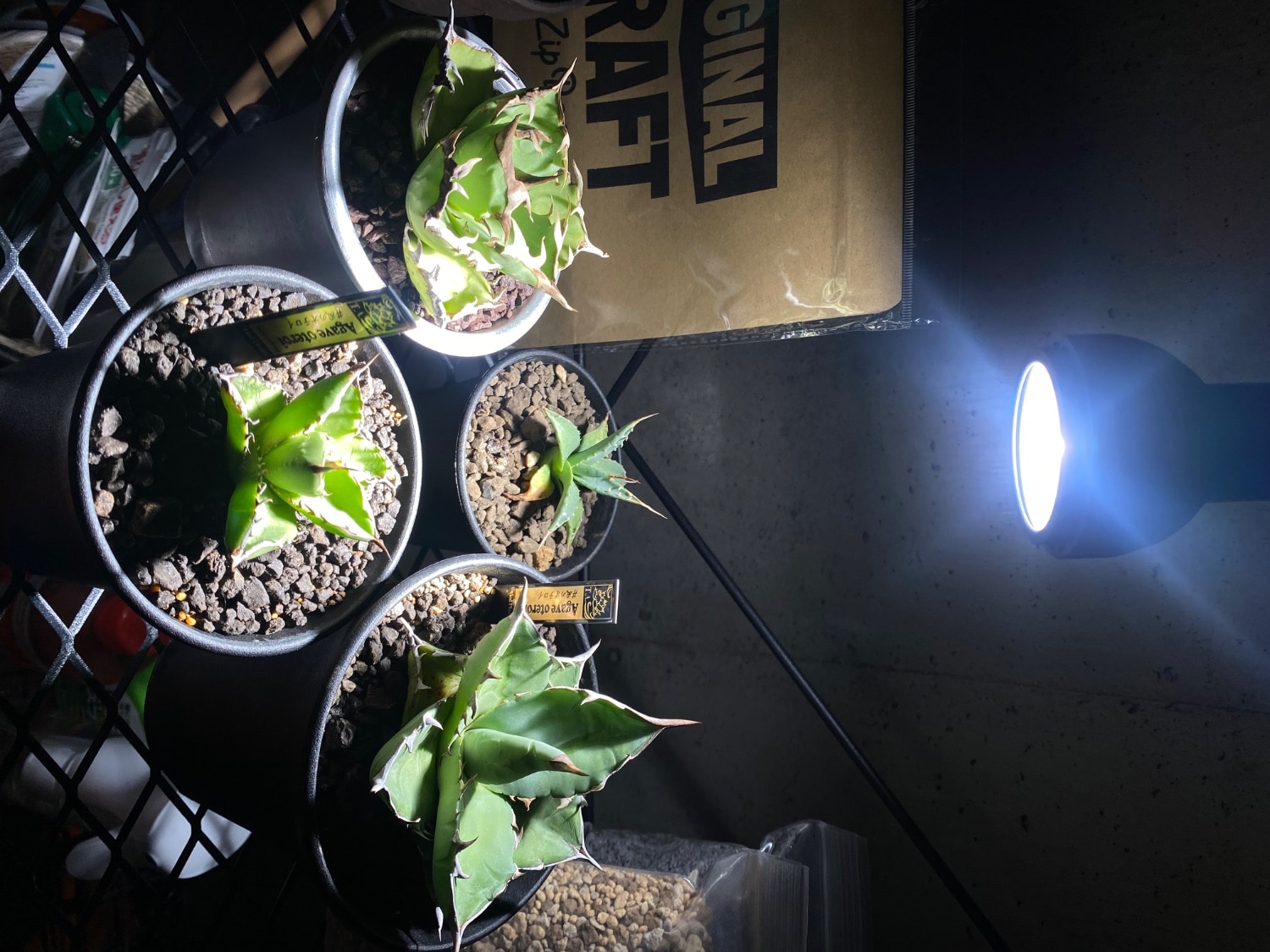 Kaiju Plant 怪獣ビームLOW 室内園芸用 植物育成LEDライト 12W 5900K3