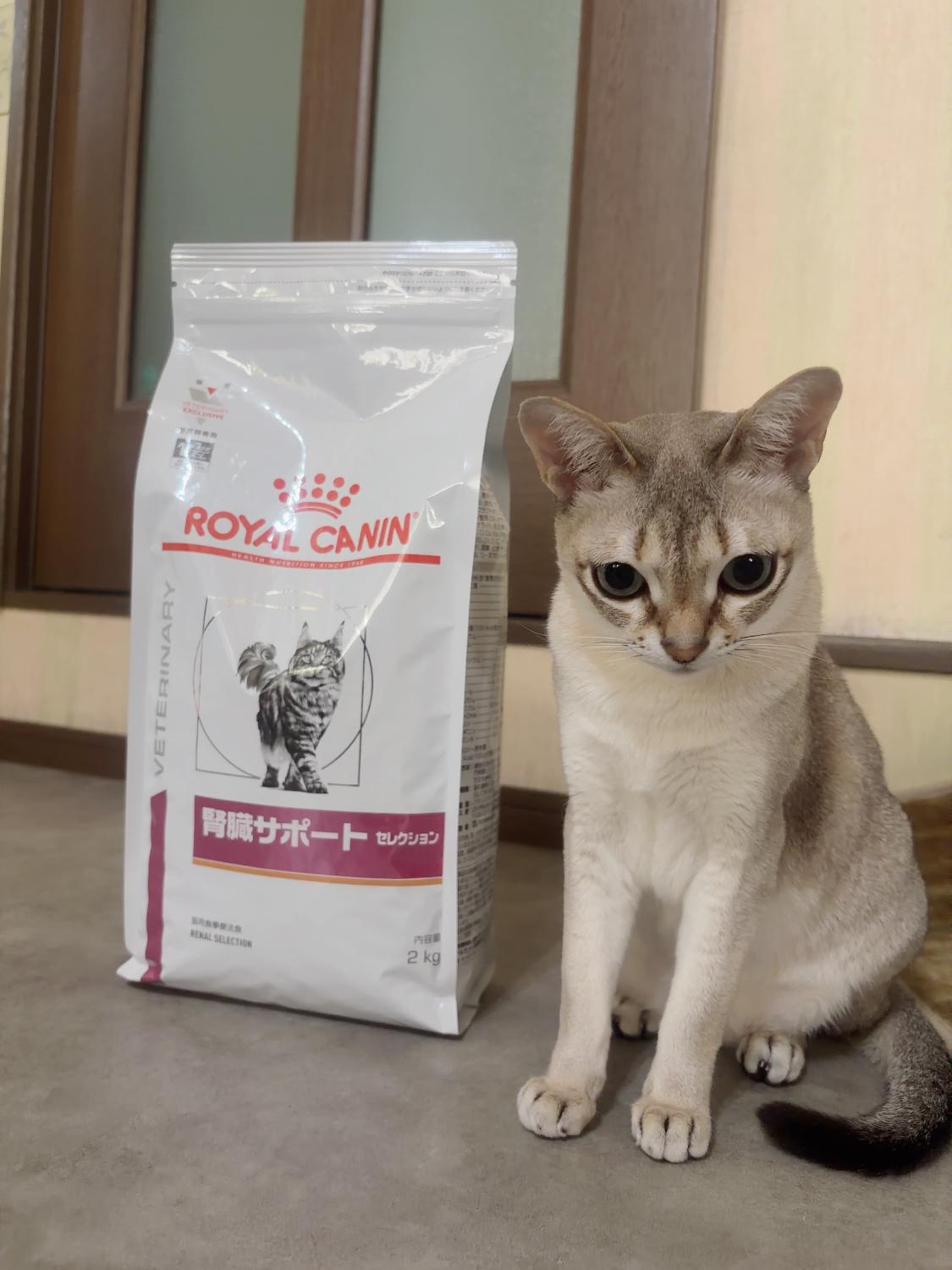 楽天市場】ロイヤルカナン 療法食 猫用 腎臓サポート セレクション