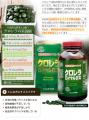 ֡ DX 1,550γ 51103ʬ ̣2026ǯ3Τ ̵  |  饵ץ 饵ץ ˦˺ chlorella CGF 100% 100  ̵ź ץ ץ γ    ȥåȡפξʥӥ塼ܺ٤򸫤