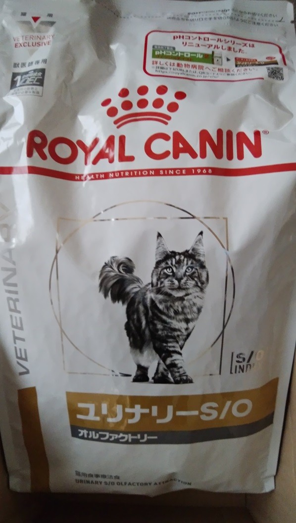 ロイヤルカナン 猫用 腎臓サポート スペシャル 4kg：サンドラッグe
