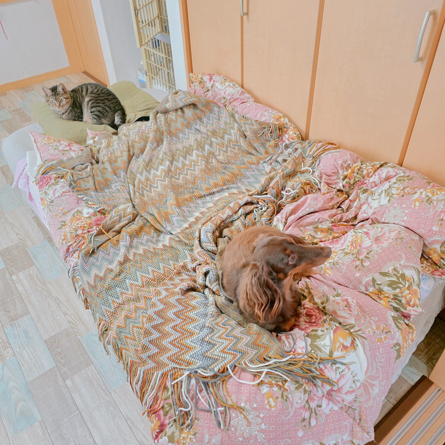 楽天市場】【クーポンで5,948円～！】 LVYUAN(リョクエン) エアー