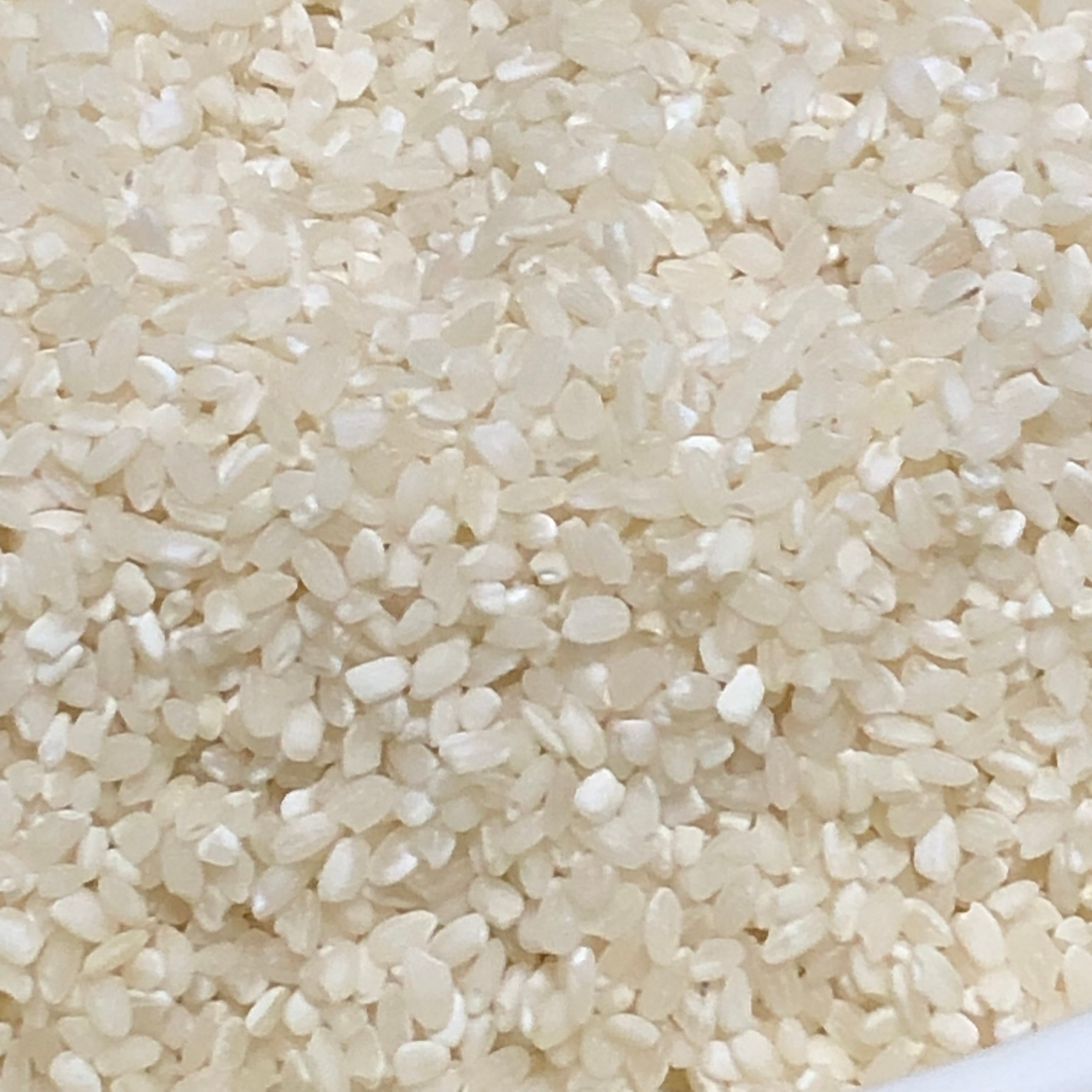 期間限定値下げ!　お米 10kg お米10kg 訳ありブレンド米 たべよまい レビュー画像13