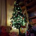 ֥奨꡼饤 LED ߥ͡AC󥻥ȼۥ磻䡼 ꥹޥĥ꡼ ž led ʥ ̲  120cm 150cm 180cm ˺Ŭ100 10m ⥳ ŵ忧   ƥꥢ ꥹޥ Christmas ornament tree ܯפξʥӥ塼ܺ٤򸫤