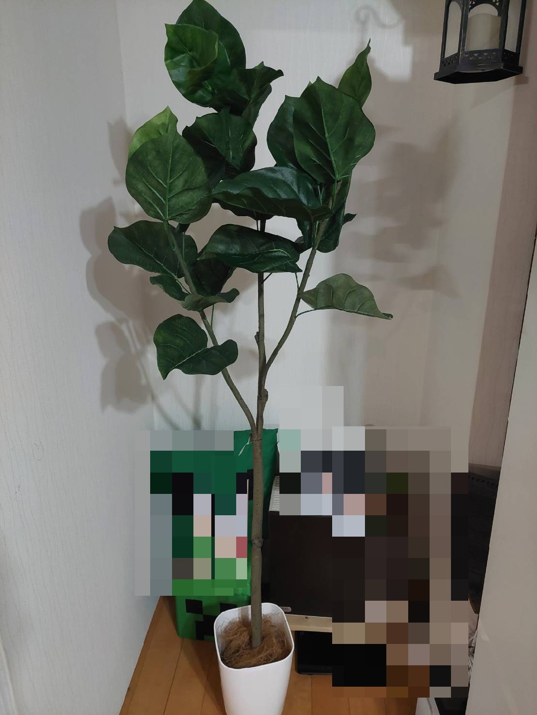 楽天市場 フェイクグリーン 人工 造花 光触媒 観葉 植物 樹 木 室内 大型 150 160cm 鉢 木 おしゃれ 造花 リアル フィカス ウンベラータ 3枝 インテリア 人気 空気清浄 人工 玄関 リビング オフィス 部屋 爽やか 緑 シンプル 初心者 抗菌