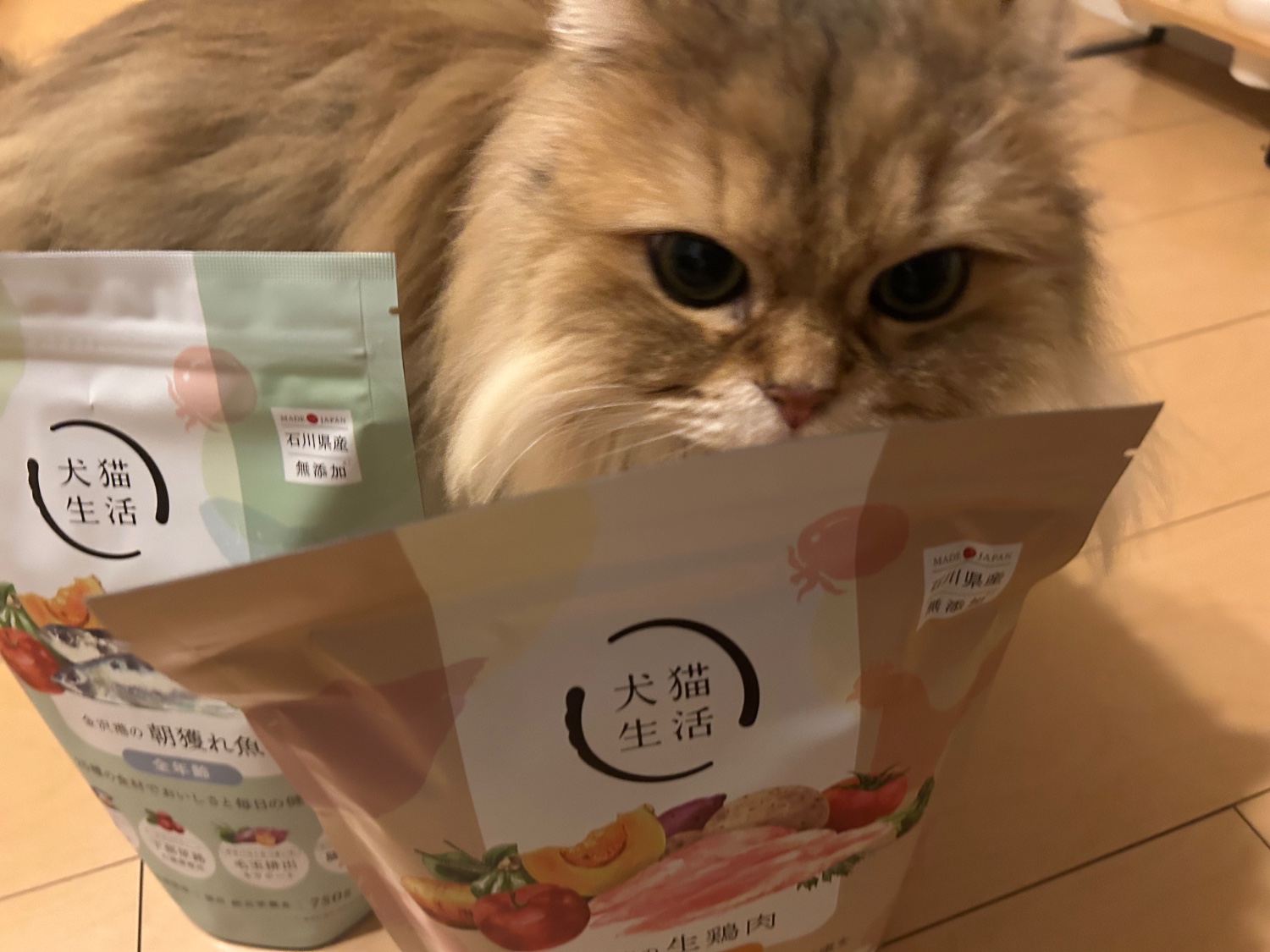楽天市場】特典付き【犬猫生活】猫 キャットフード オール 楽天市場】特典付き【犬猫生活】猫 キャットフード オール