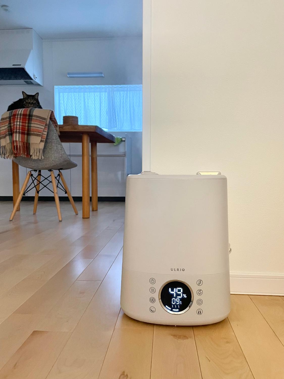 楽天市場】【レビュー4.5】加湿器 ハイブリッド式 大容量 6L 【実測