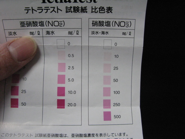 楽天市場】テトラテスト 試験紙NO3－（硝酸塩）（淡水・海水用） 関東当日便(charm 楽天市場店) | みんなのレビュー・口コミ