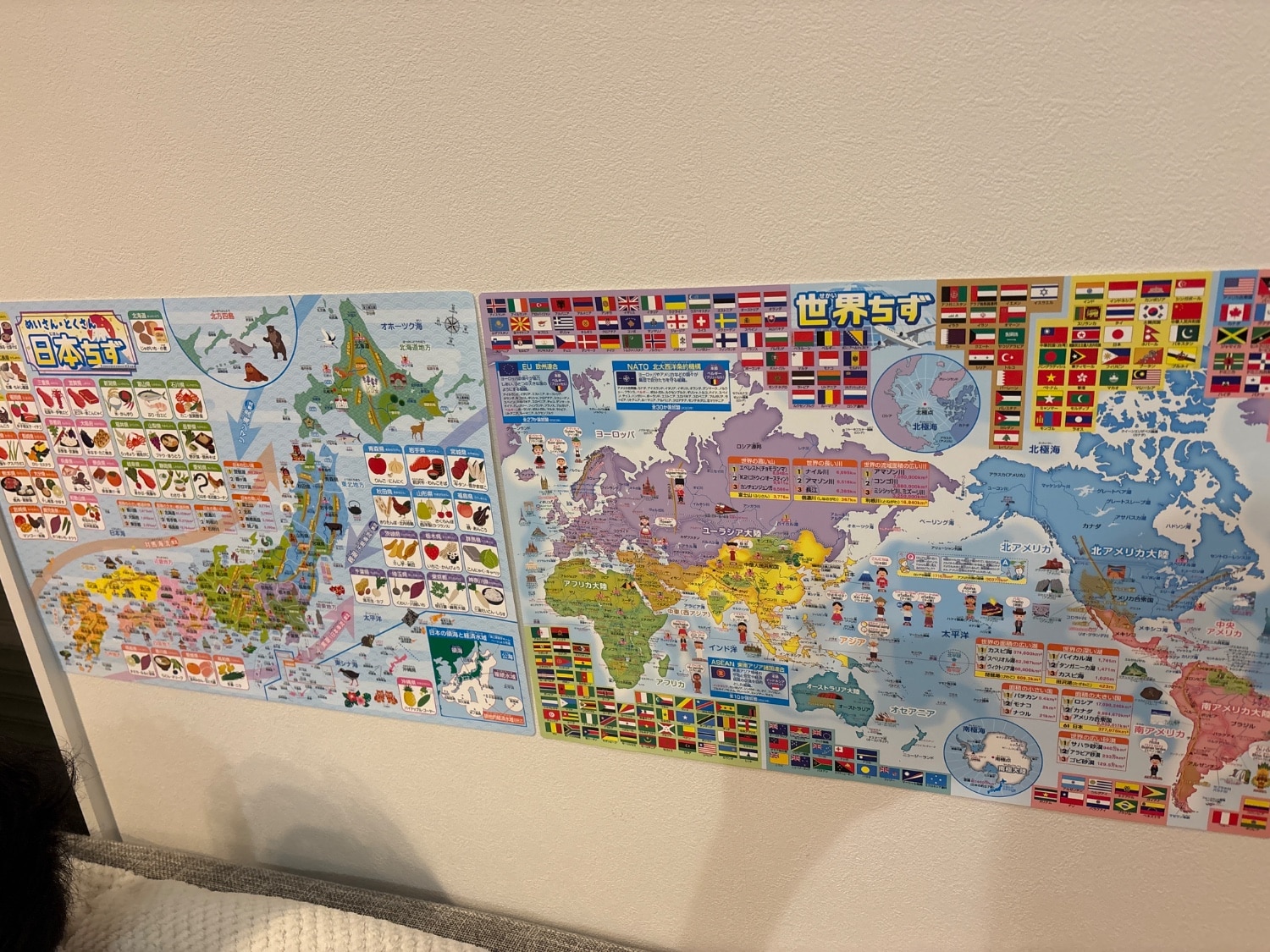 お風呂の学校 日本地図&世界地図&宇宙地図 お風呂ポスター 知育玩具 日本地図 レビュー画像4