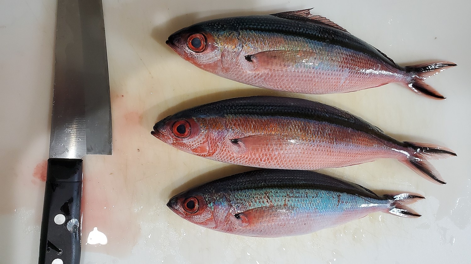 楽天市場 送料無料 おまかせ沖縄鮮魚セット4kg 2 3種類 沖縄海鮮問屋 未購入を含む みんなのレビュー 口コミ