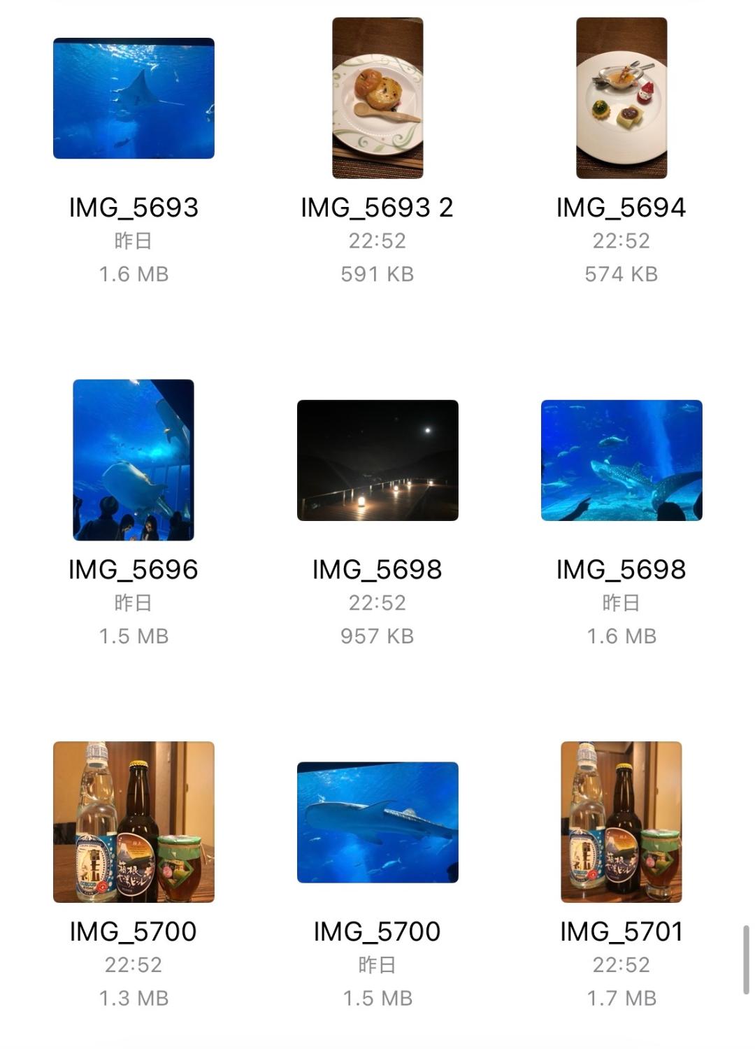 SDカードリーダー スマホ容量不足 データバックアップ レビュー画像4
