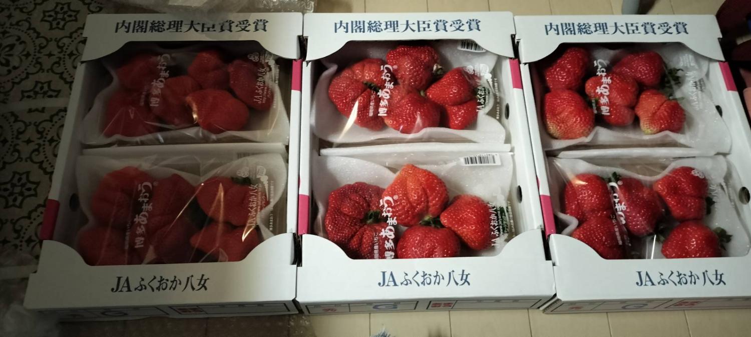 ふるさと納税 あまおう いちご レビュー画像12