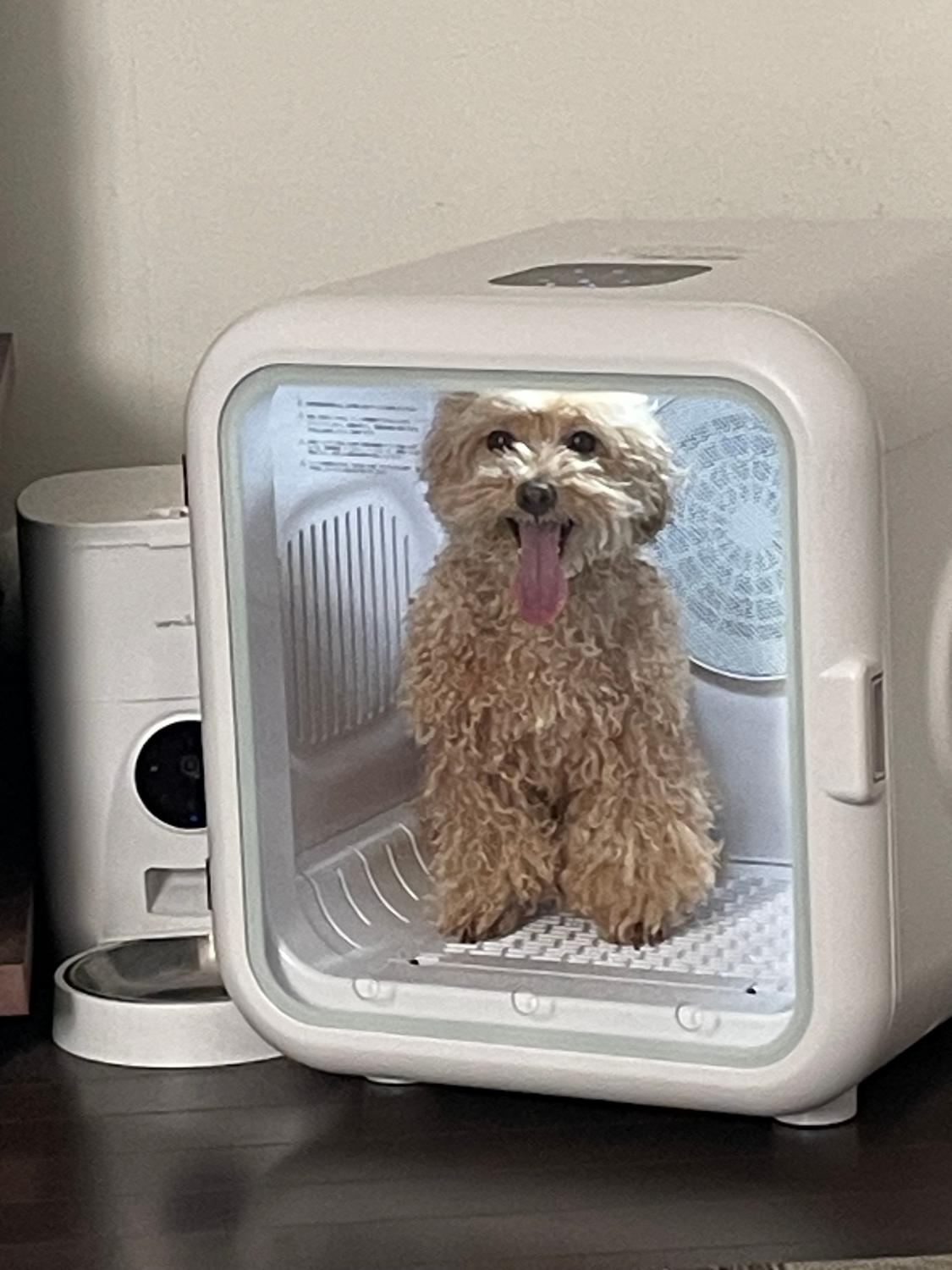 楽天1位★ ペットドライルーム ペットドライヤー 口コミ レビュー画像4