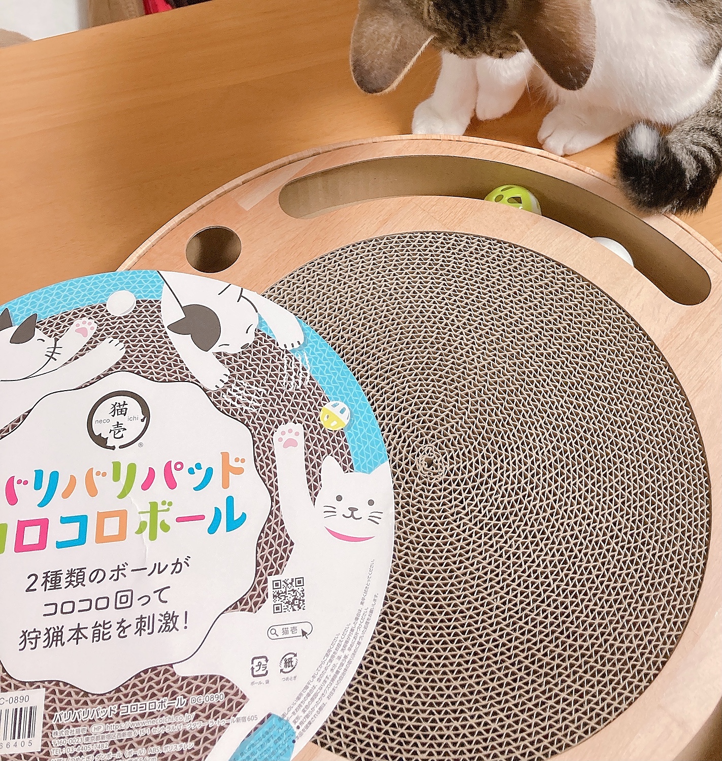 新品即決 猫壱 バリバリパッドコロコロボール サークル