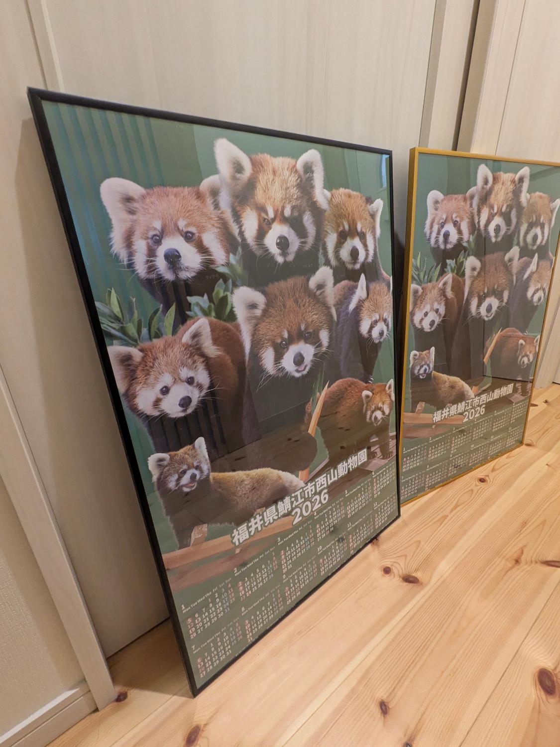 購入者レビュー写真