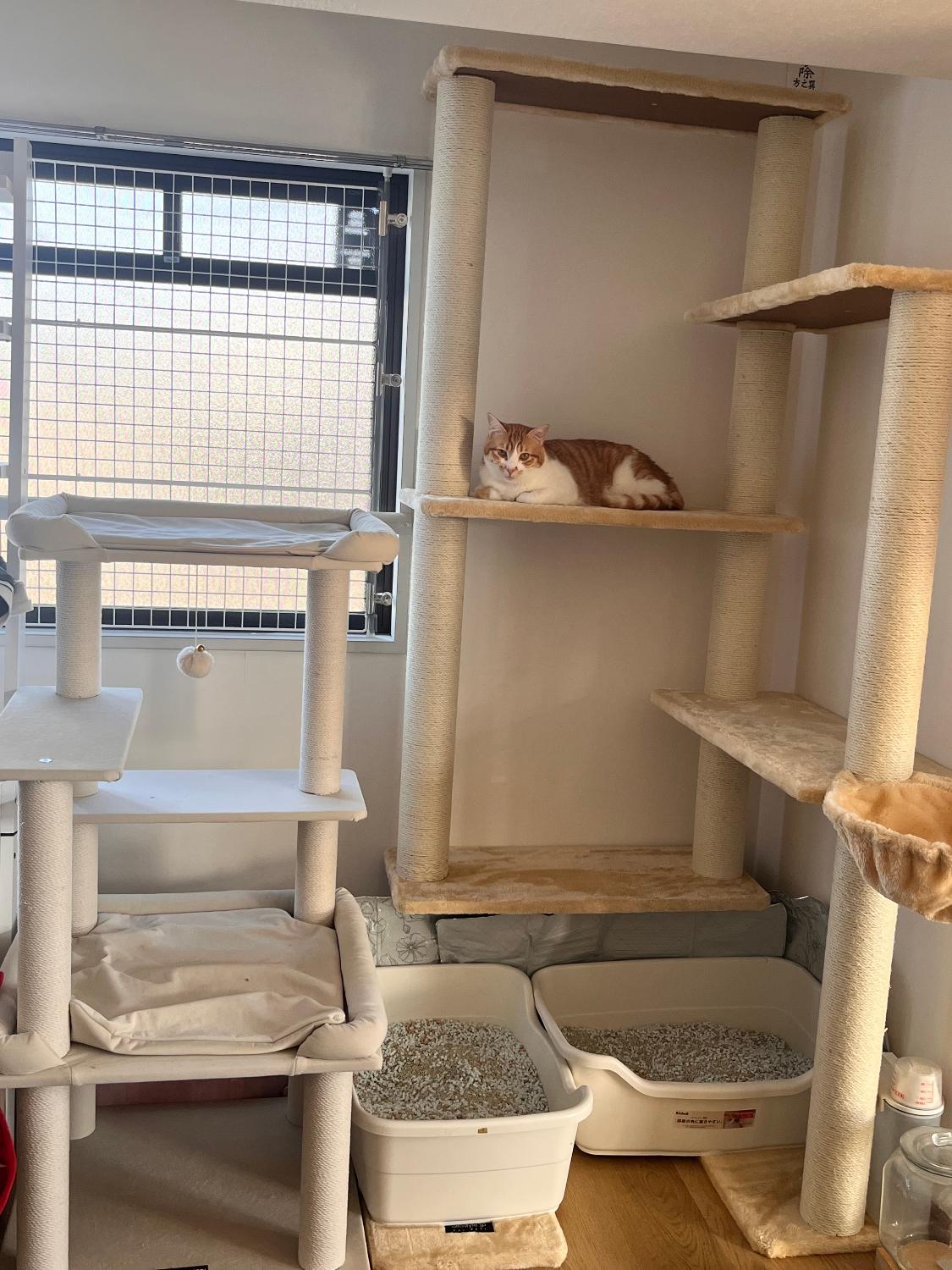 キャットツリー 猫タワー PARTHENON190 レビュー画像1