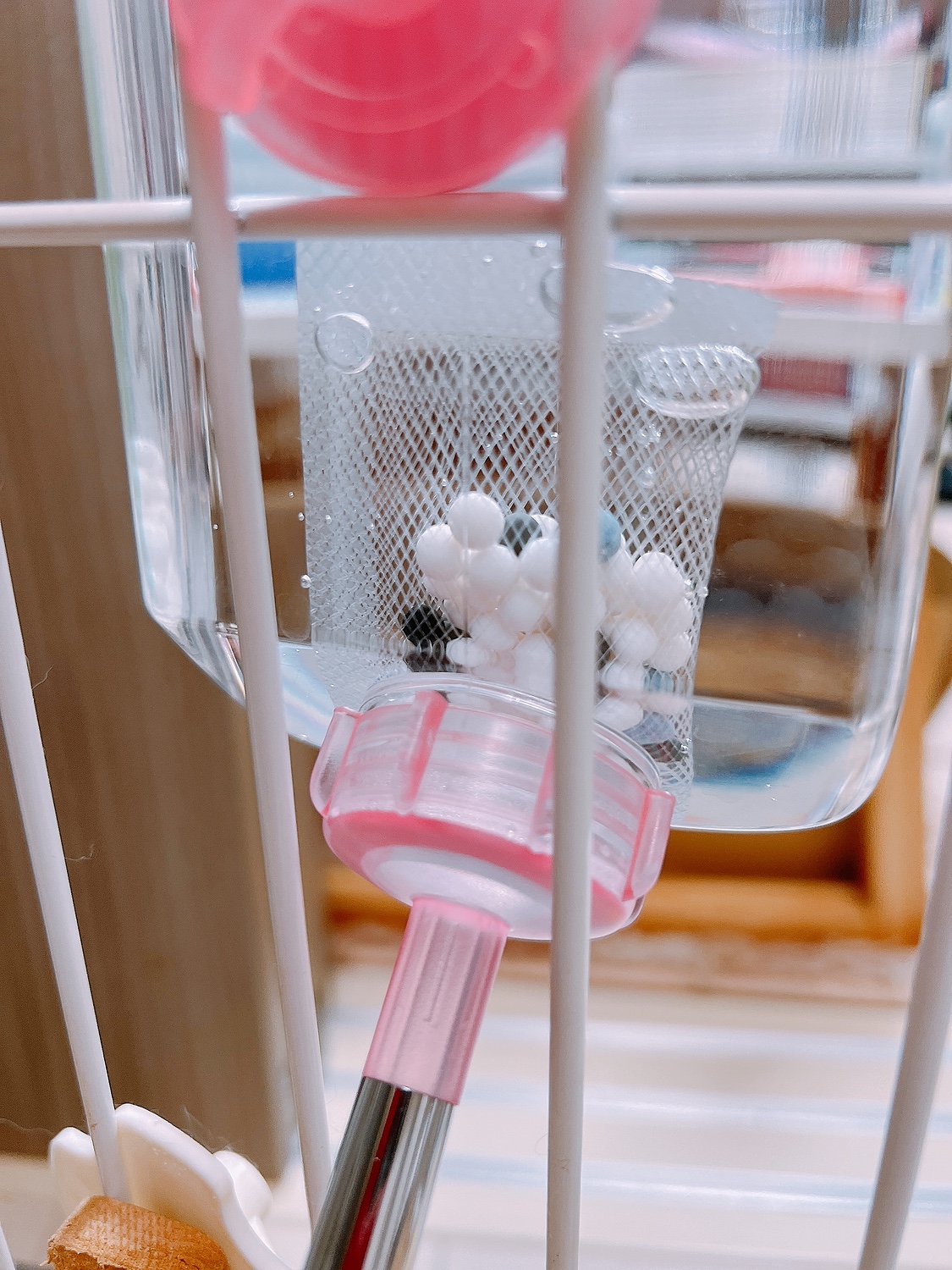 魔法のスティック 楽天市場】B−blast 魔法のスティック 小動物用 mini 関東当日便