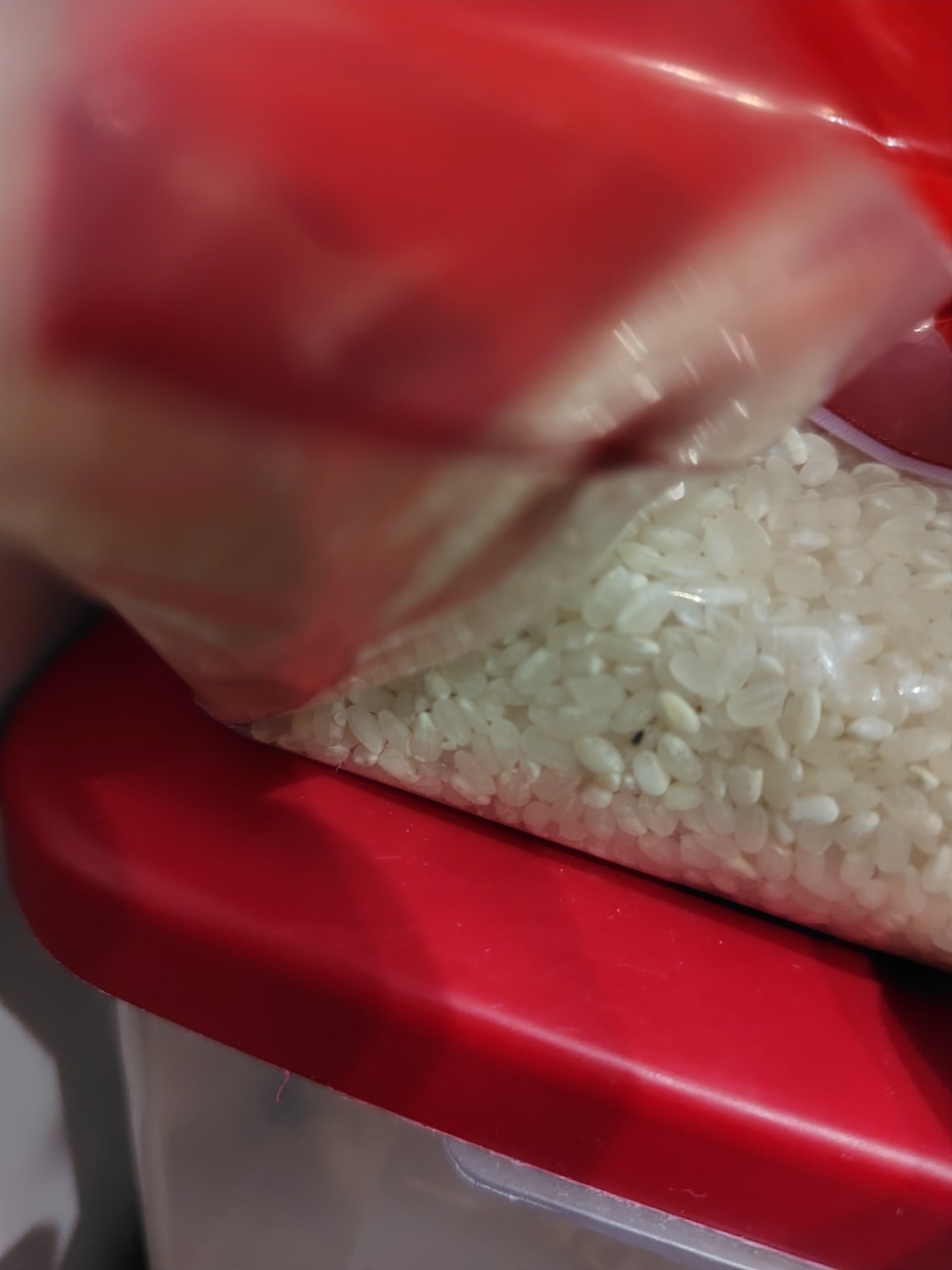 楽天市場】【ふるさと納税】 訳あり ふくきらり 米 合計20kg 楽天市場】【ふるさと納税】 訳あり ふくきらり 米 合計20kg
