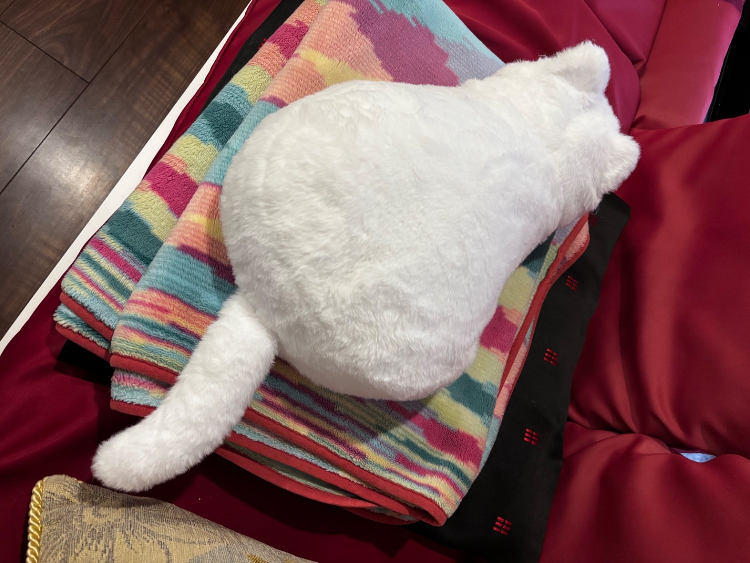 にゃんたんぽ にゃ たんぽ 待望の新色登場 猫型フォルムと とろふわな