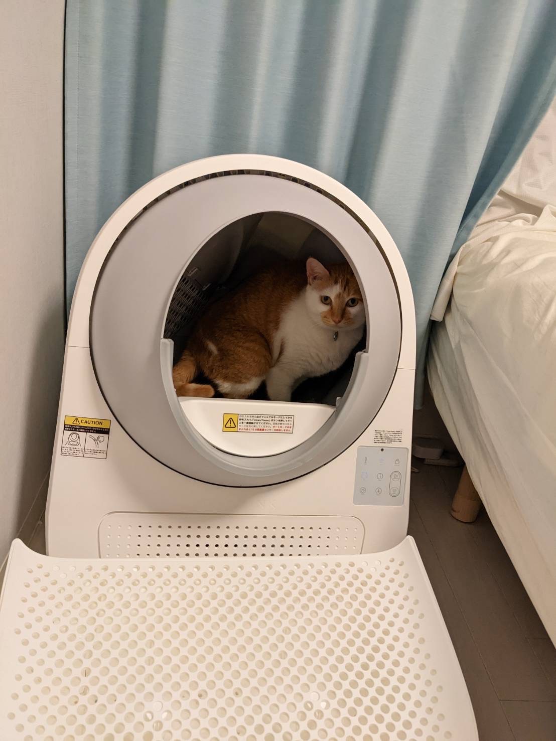 人気色 CATLINK SCOOPER　自動猫トイレ【クレアさん専用】 猫用品