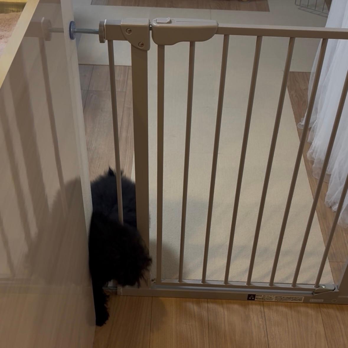 楽天市場】《楽天1位》＼つまづき防止タイプも選べる／ベビーゲート