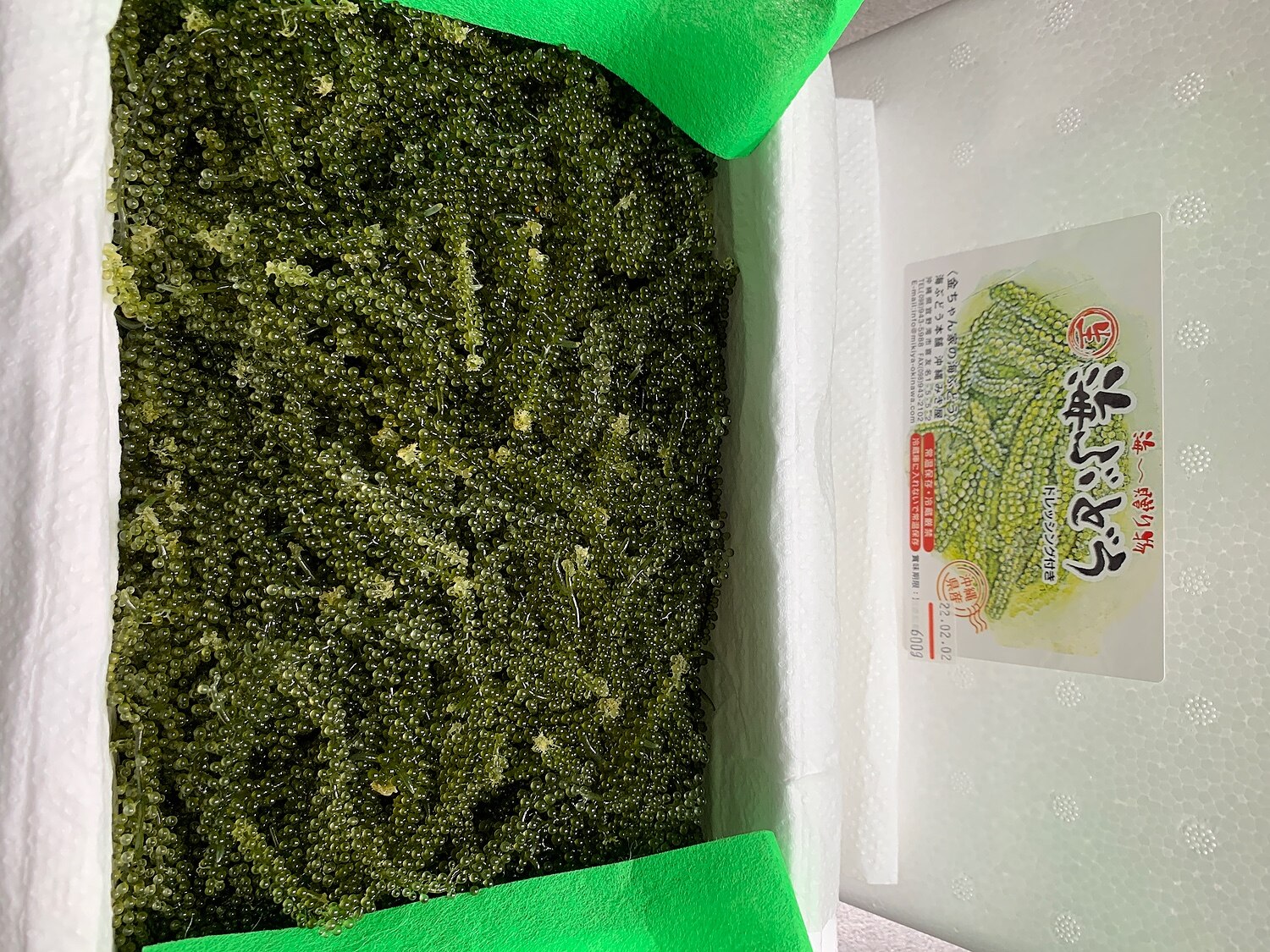 楽天市場 一軍になれなかった海ぶどう500g 海ブドウ おつまみ 低カロリー お取り寄せ グルメ ポイント消化 買い回り 22年4月度月間優良ショップ受賞 金ちゃんちの海ぶどう みんなのレビュー 口コミ