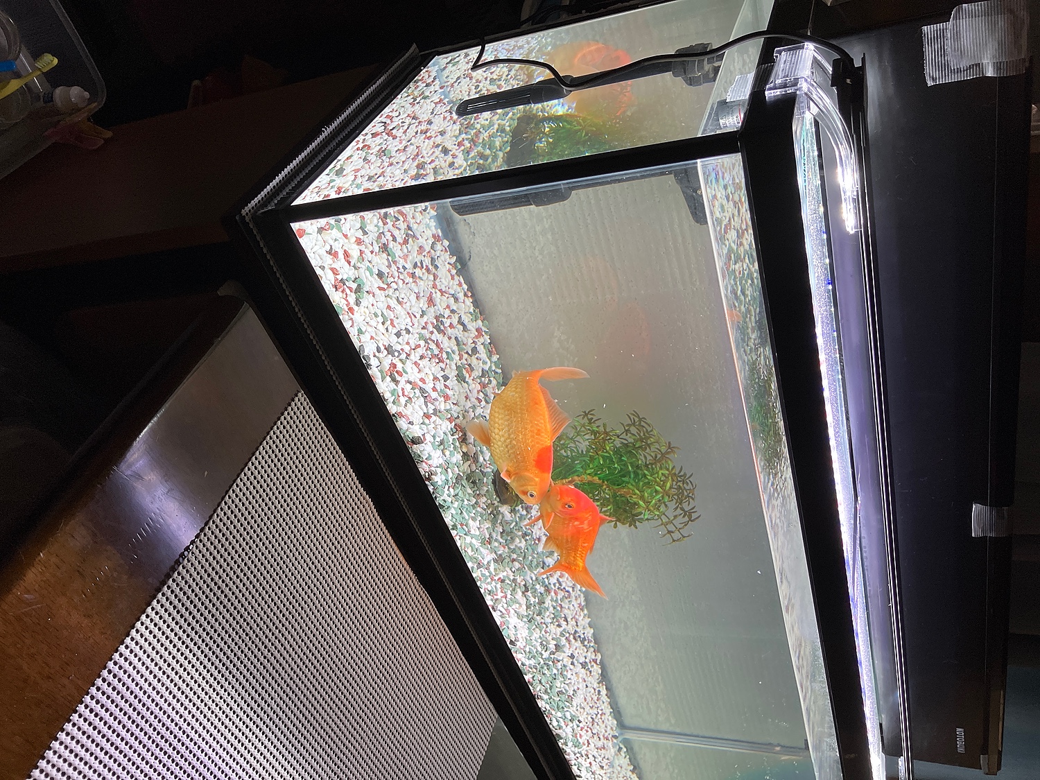楽天市場】コトブキ工芸 水槽セット ワイド900 5点 LED 90cm水槽