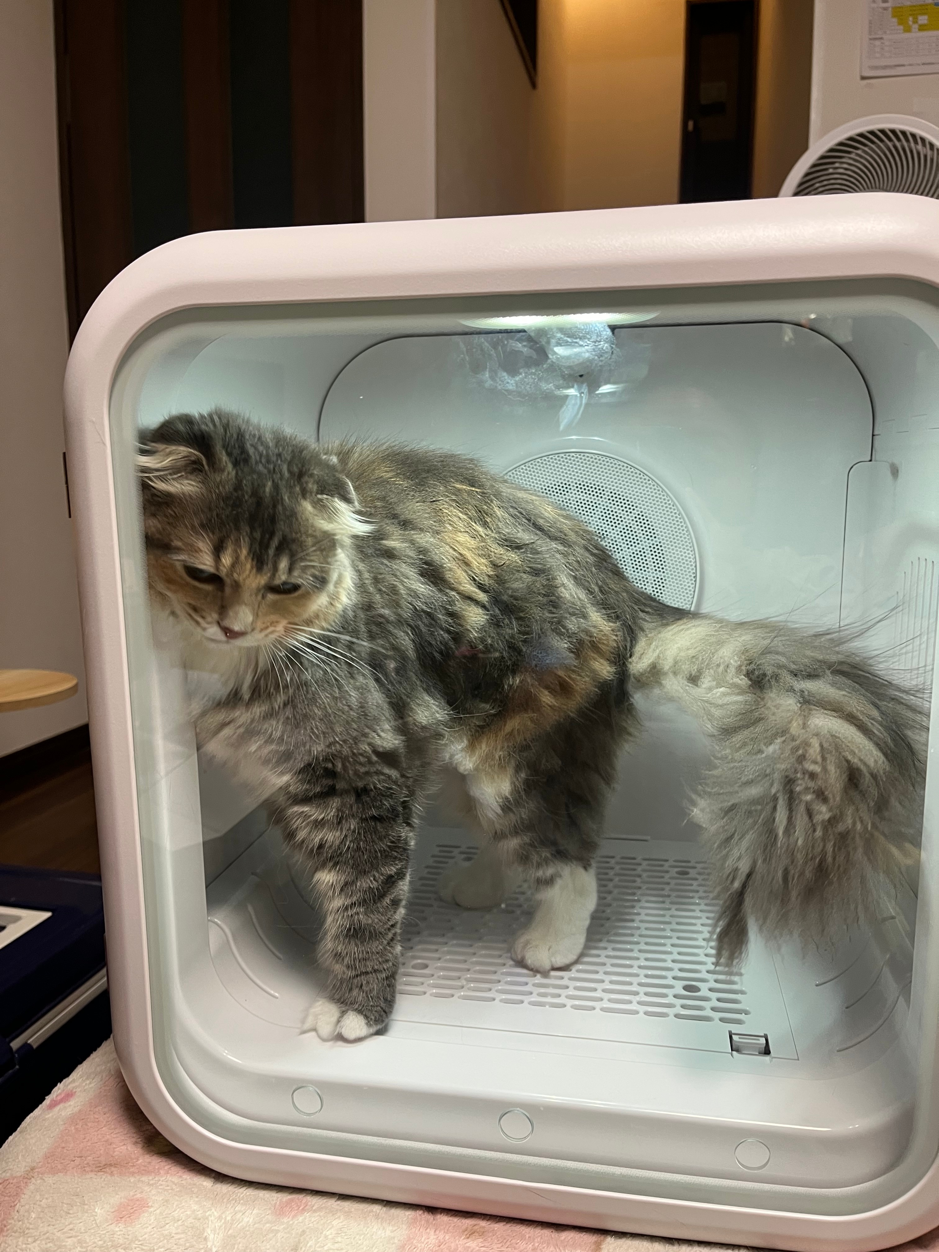 ペットドライルーム ペット乾燥機 口コミ レビュー画像18