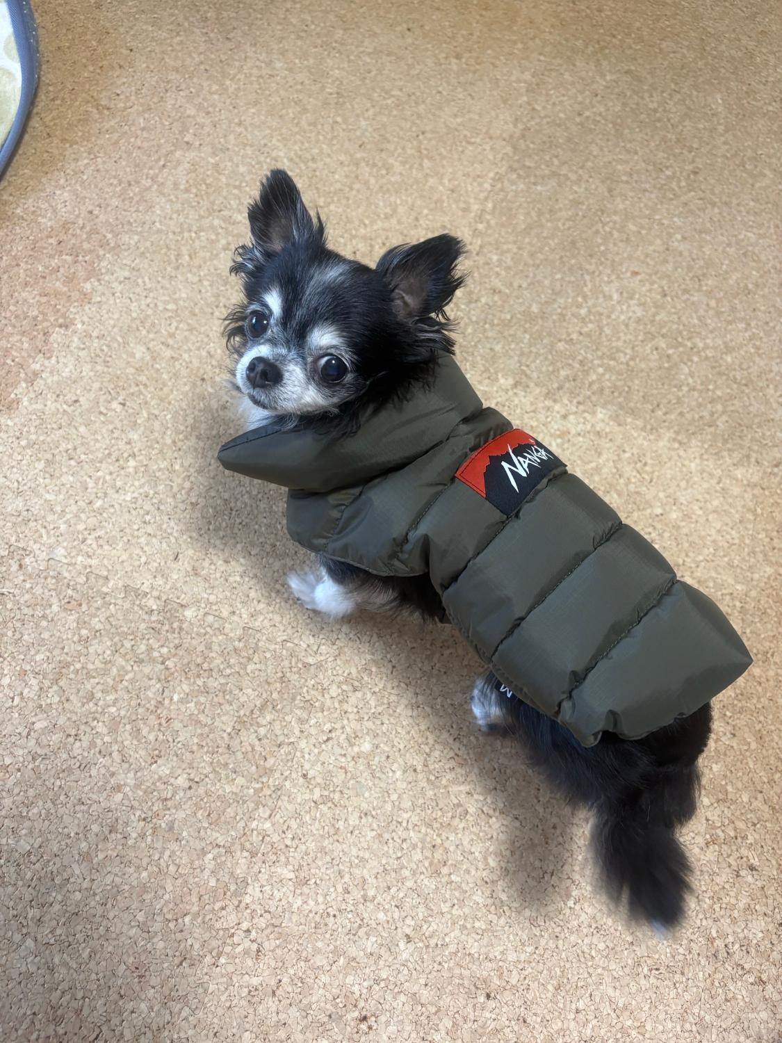 楽天市場】【返品交換送料無料】NANGA(ナンガ)DOG DOWN JACKET