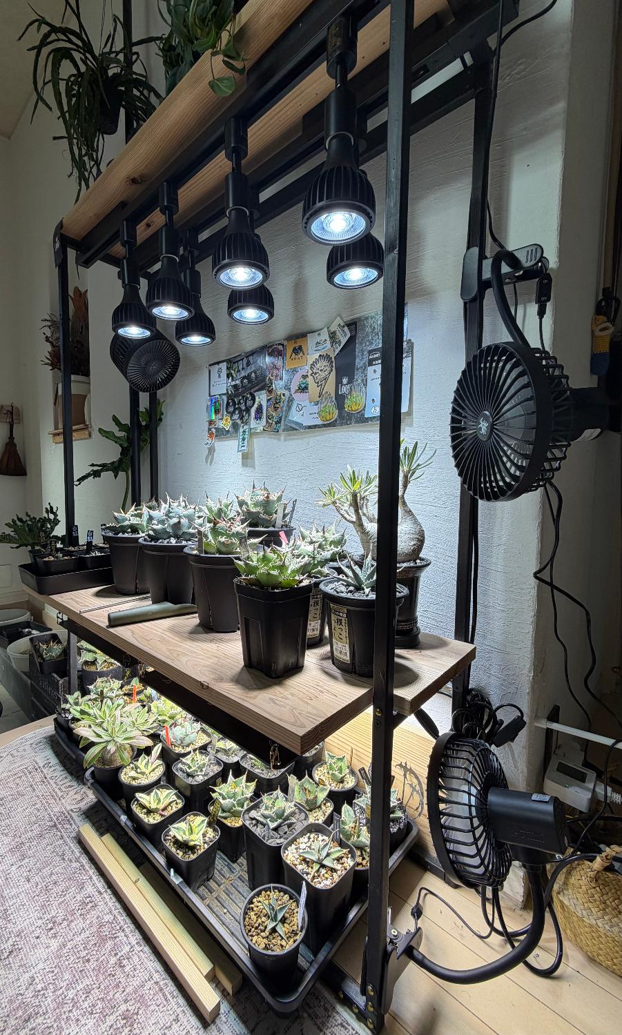 楽天市場】Kaiju Plant 怪獣ファンL 室内園芸向け サーキュレーター L