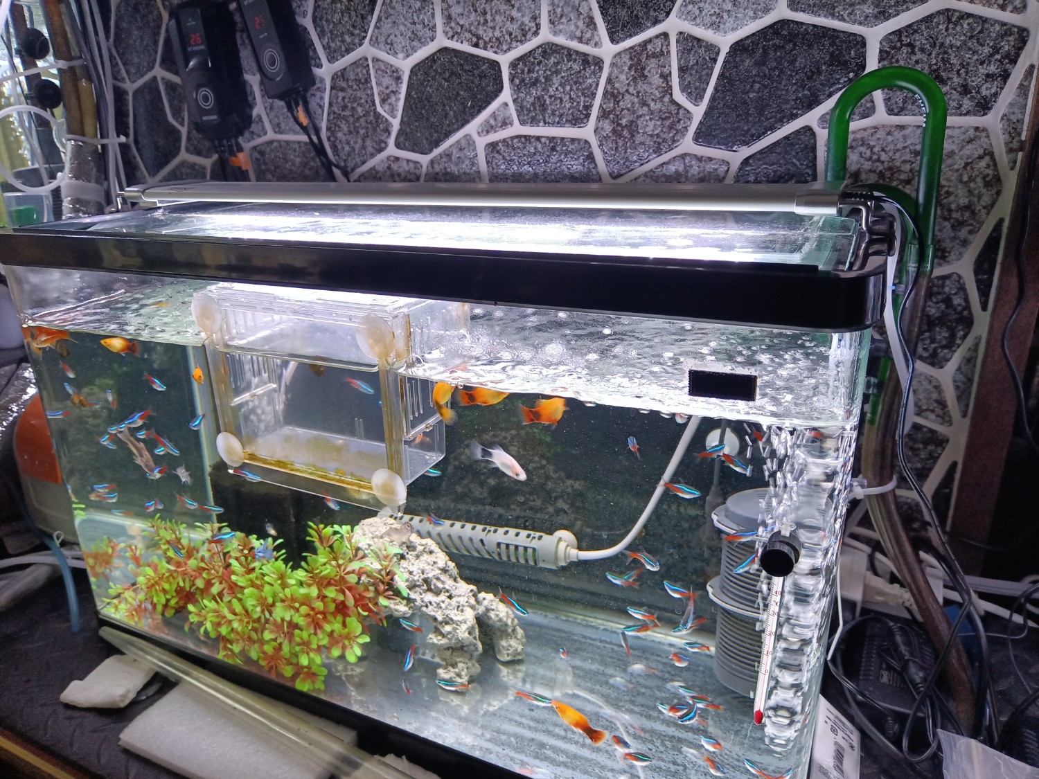 楽天市場】テトラ パワーLEDプレミアム 60 60〜75cm水槽用照明