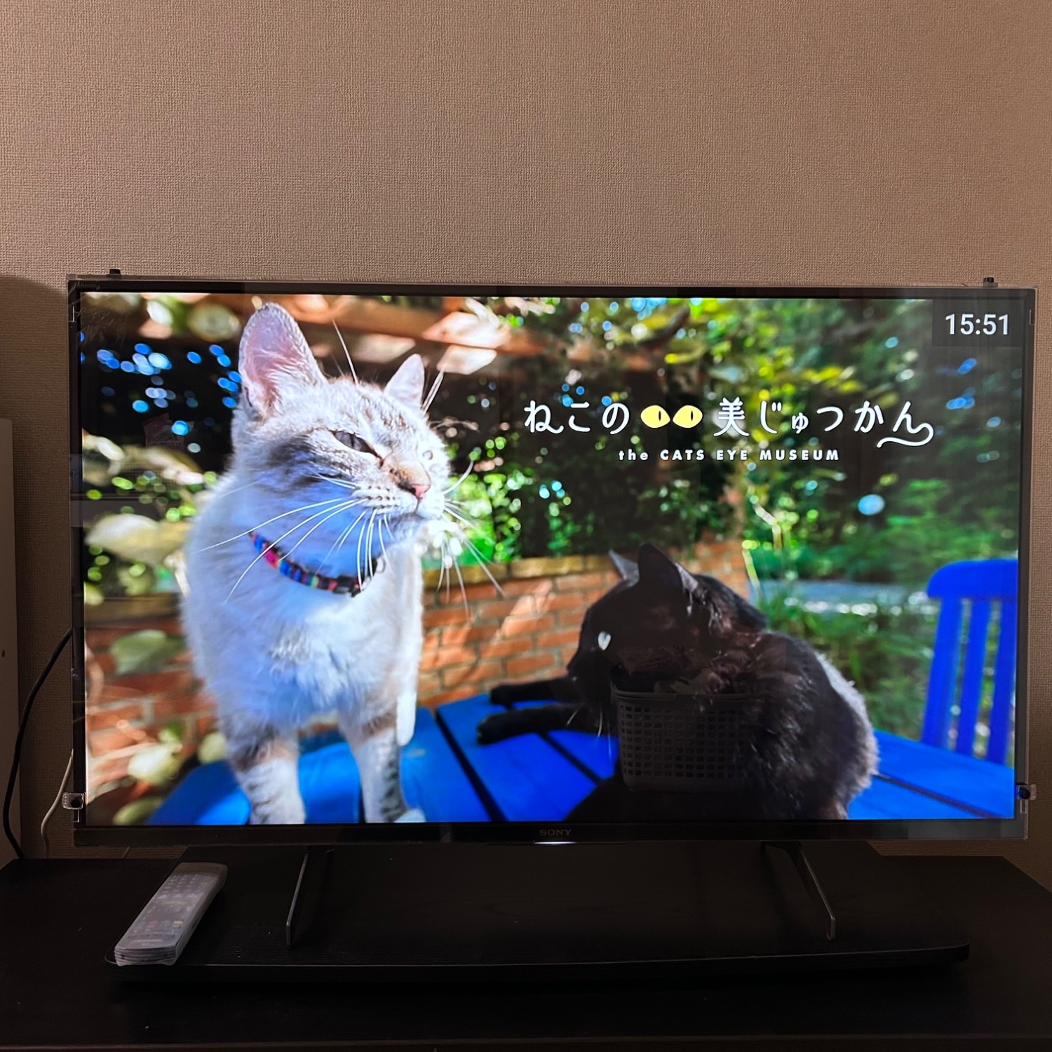 購入者レビュー写真