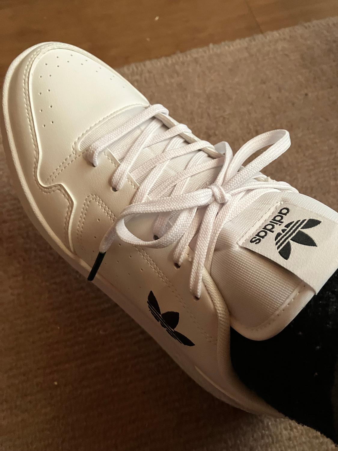 楽天市場】【50％OFFクーポン対象 2/4 10:00～2/10 23:59】 【公式