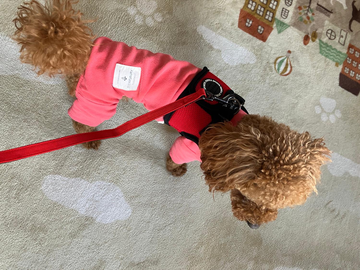 世界累計140万個突破！胴輪部門100週連続1位獲得！PUPPIA パピア ソフトベストハーネス XS,S,M,Lサイズ 犬ハーネス PUPPIA パピア レビュー画像3