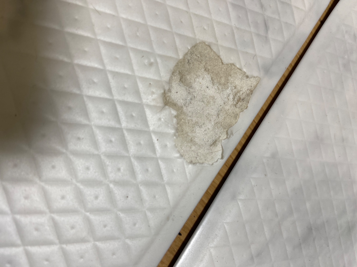 足腰を守る dfang ペット用マット 140×180cm dfangマット ペット用マット 犬用マット レビュー画像11