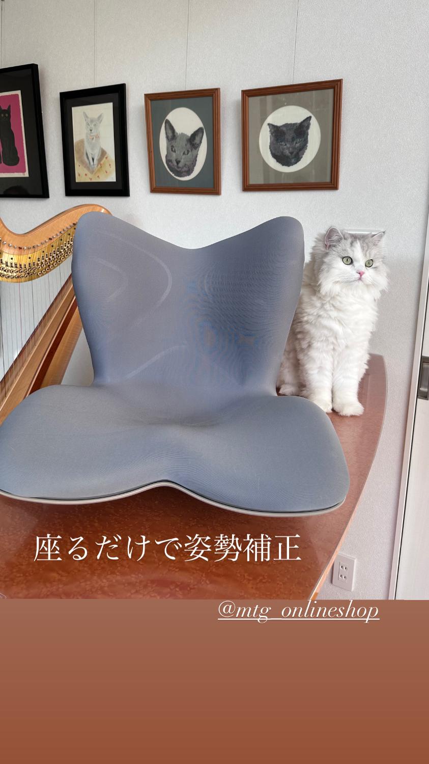 楽天市場】母の日プレゼント スタイルプレミアム Style PREMIUM 母の日