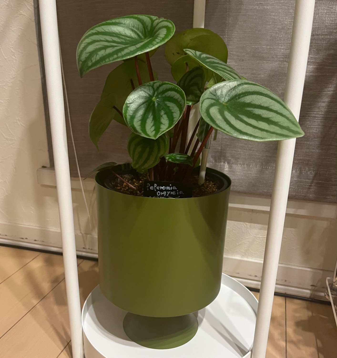 楽天市場】フレヤ 21【植木鉢 おしゃれ 鉢カバー ガーデン雑貨