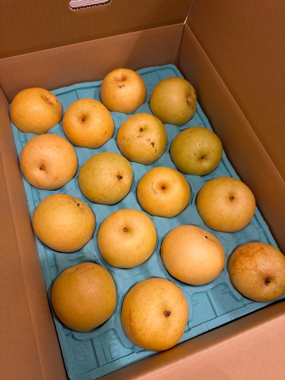 楽天市場】【送料無料】 梨 訳あり 5kg 長野県産 幸水 / 豊水 / 二十