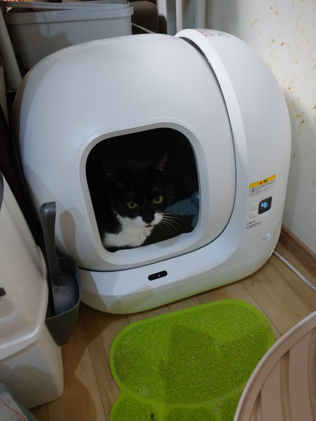 楽天市場】【2年保証】 PETKIT Pura Max2 猫用トイレ 猫自動トイレ