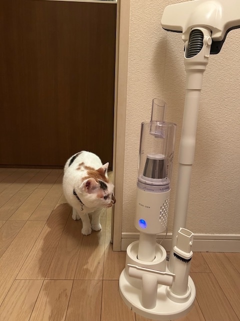購入者レビュー写真